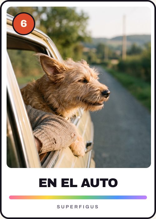 Figurita número 6 de un perro con la cabeza fuera de la ventanilla del auto