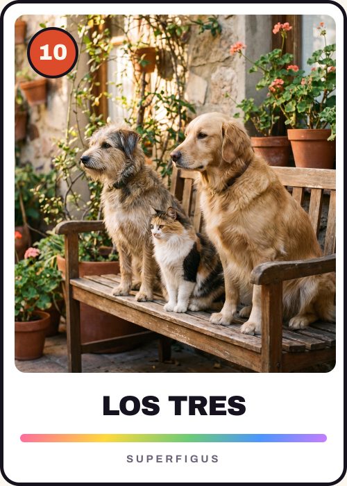 Figurita número 10 de dos perros y un gato juntos en el patio